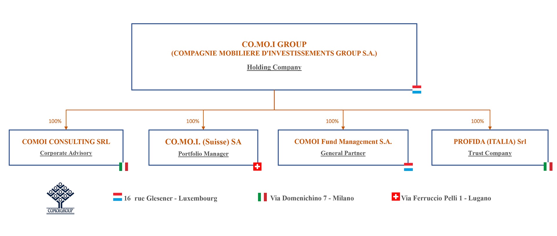 Comoi Group organigramma Comoi Group organigramma